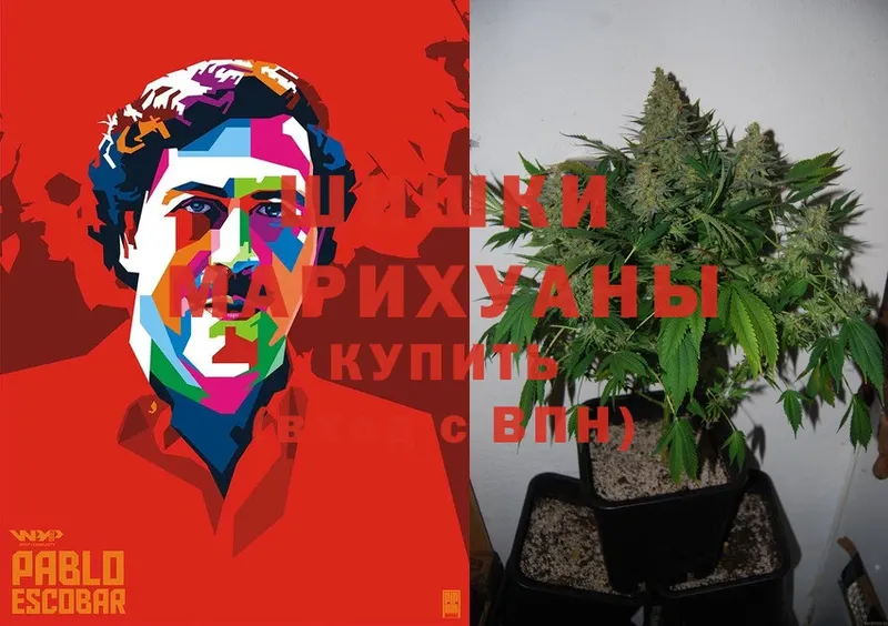 Шишки марихуана Ganja  Большой Камень 